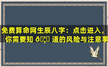免费算命网生辰八字：点击进入，你需要知 🦁 道的风险与注意事项